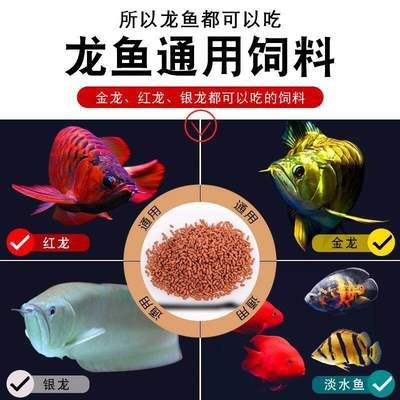 龍魚喂飼料魚會吃嗎怎么喂：龍魚喂飼料魚會吃嗎？