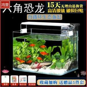 觀賞龍魚基本需要多大缸子（養龍魚的基本魚缸尺寸）