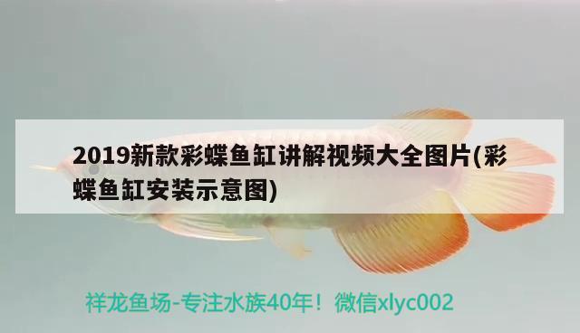 賽罕區可利愛水族工藝品店