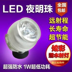 龍魚夜燈用射燈好嗎（龍魚夜燈是否使用射燈？）