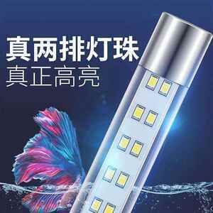 龍魚夜燈用射燈好嗎（龍魚夜燈是否使用射燈？）
