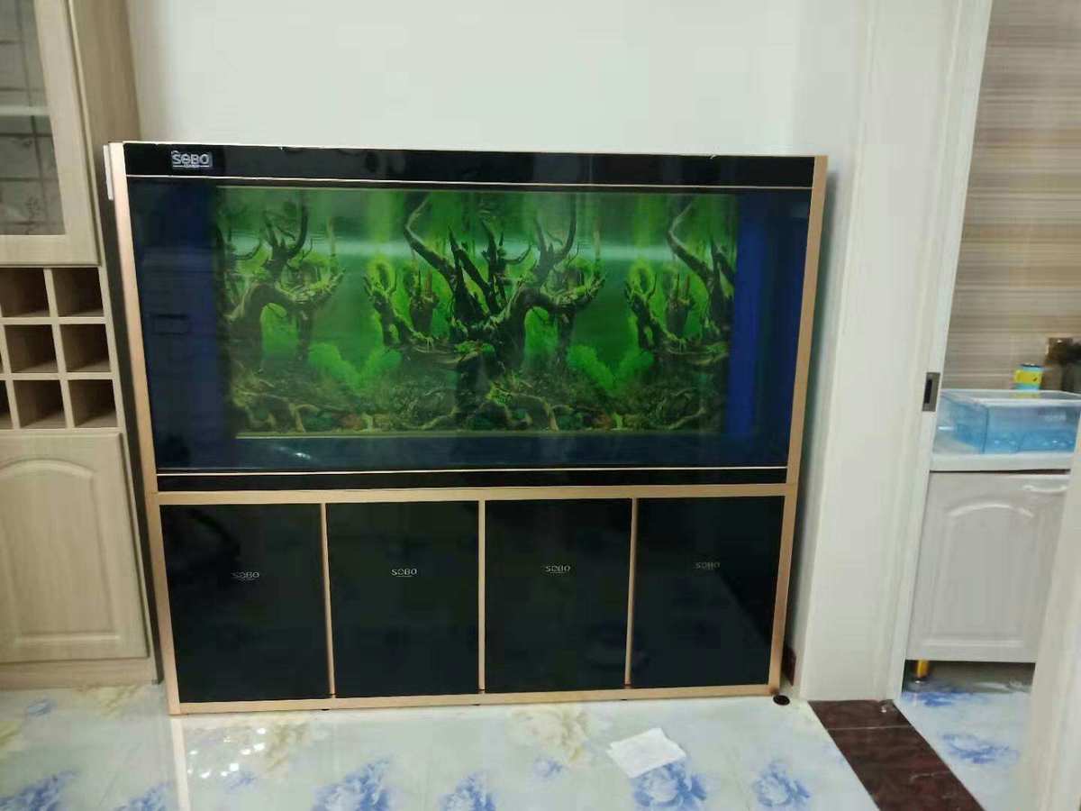 <strong><mark>修武</mark></strong>縣美人魚水族店