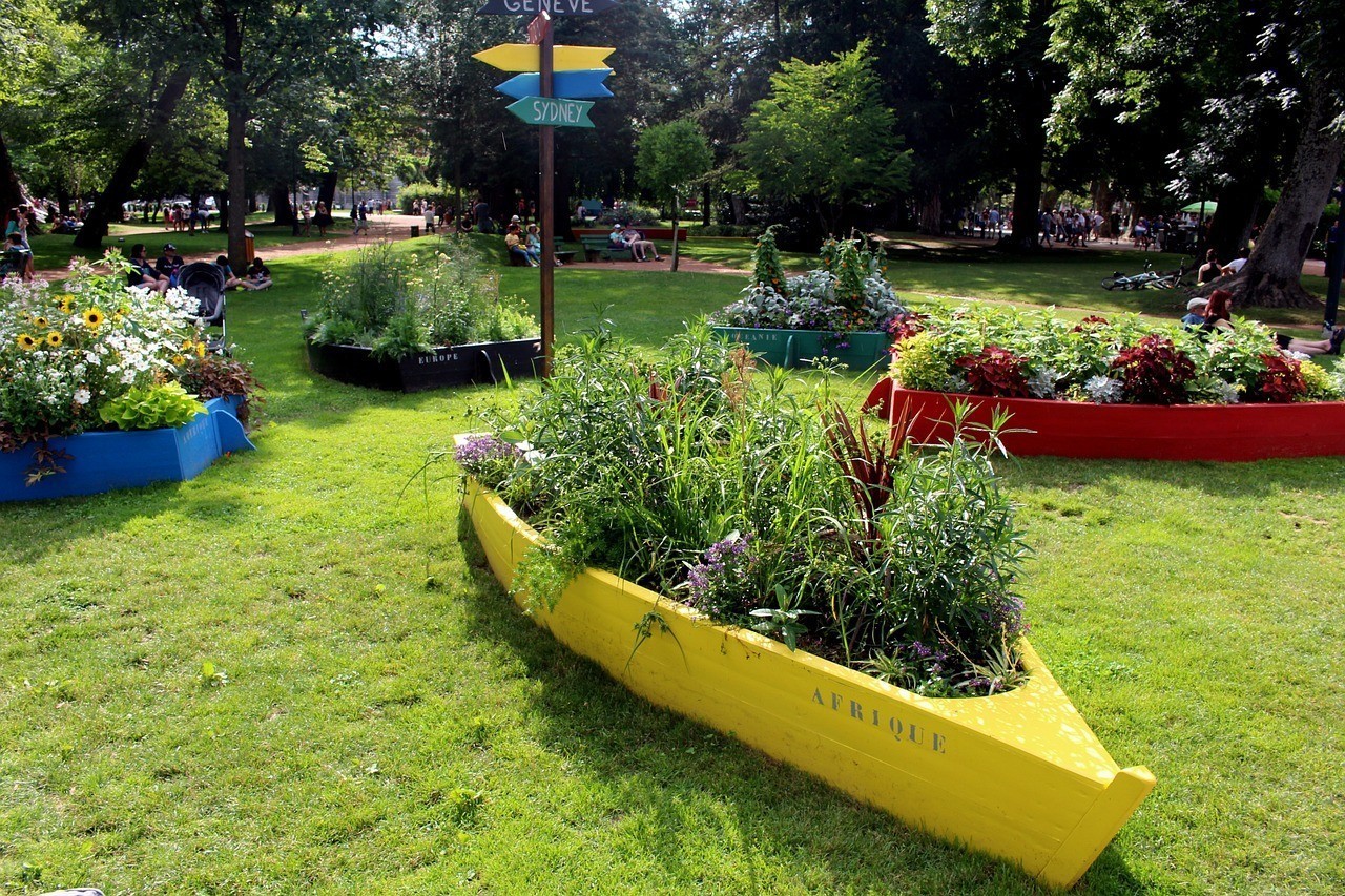 新會(huì)區(qū)會(huì)城悅洋水族器材店