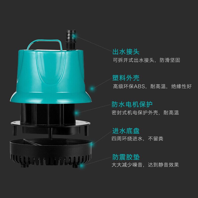 龍魚虎魚混養搭配的寓意：龍魚和虎魚混養搭配寓意豐富，龍魚虎魚混養搭配的寓意豐富 龍魚虎魚混養搭配的寓意：龍魚和虎魚混養搭配寓意豐富，龍魚虎魚混養搭配的寓意豐富 龍魚百科 第2張