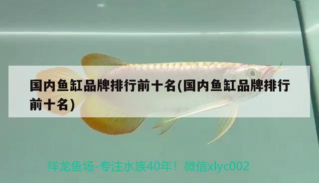 南昌市東湖區(qū)勝和寵物店