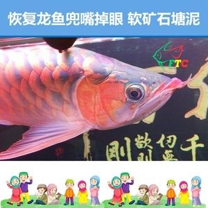 如何防止龍魚兜嘴（保持水質良好,維持環境安靜,食物選擇多樣）
