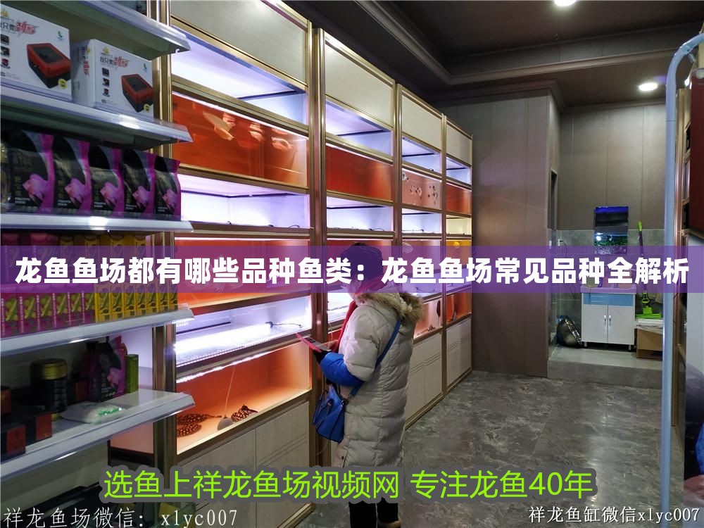 龍魚魚場都有哪些品種魚類：龍魚魚場常見品種全解析