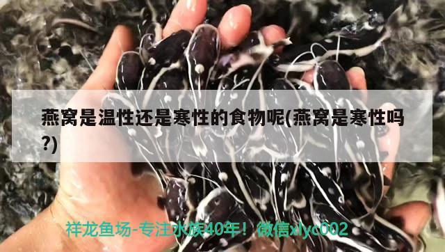 九臺區卡倫興龍漁具店