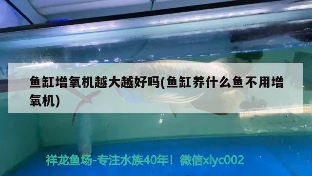 九臺區卡倫興龍漁具店