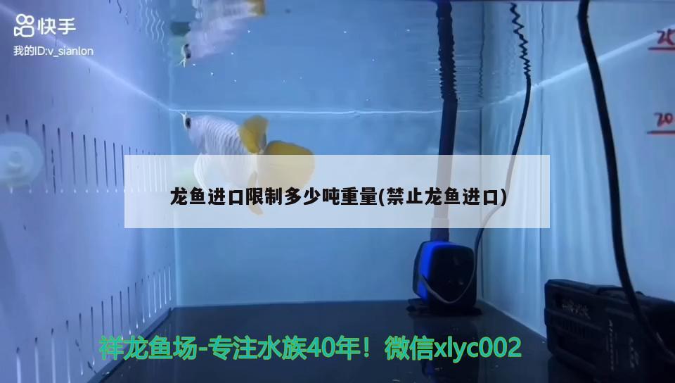 九臺區卡倫興龍漁具店