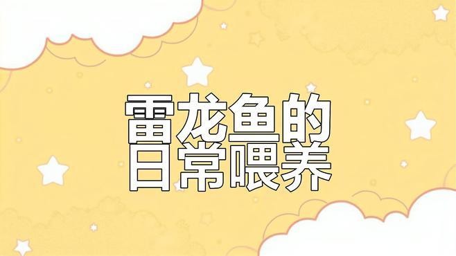 雷龍魚可以喂哪些食物？