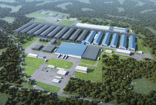 南寧金龍魚蛋雞養殖基地在那里啊多少錢（南寧金龍魚蛋雞養殖基地介紹）