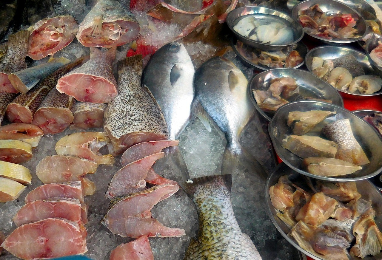 椒鹽水龍魚怎么做好吃視頻大全 椒鹽水龍魚怎么做好吃視頻大全 龍魚百科 第1張