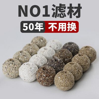 龍魚用什么過濾材料：龍魚過濾材料搭配指南