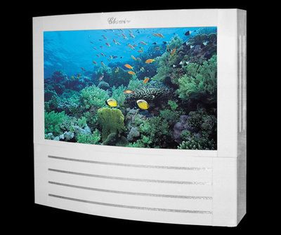 可麗愛魚缸多少錢 龍魚百科 第4張 可麗愛魚缸多少錢 可麗愛魚缸多少錢 龍魚百科 第4張