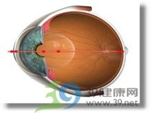 龍魚鉆石眼能看見東西嗎