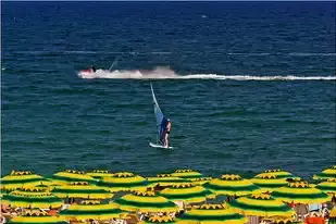 西昌市紅欣水族金魚(yú)館（西昌市紅欣水族金魚(yú)館電話(huà)）