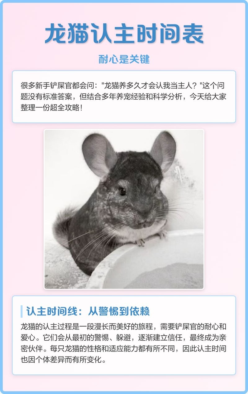 龍貓多久能完全認(rèn)主？