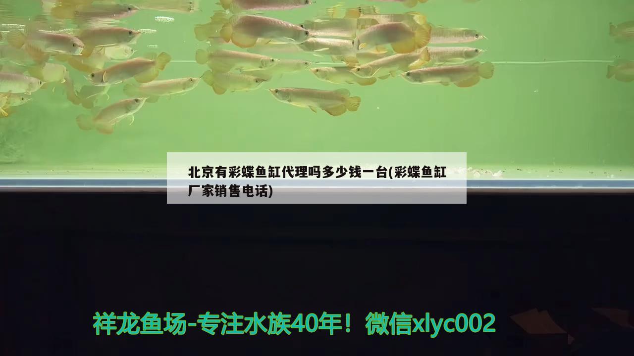 遼陽市白塔區林洪觀賞魚養殖（遼陽市白塔區林洪觀賞魚養殖場地址）