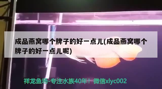 翹嘴魚夏天一般在什么位置上