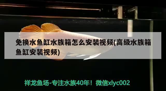 固安縣固安鎮(zhèn)尚眾花店