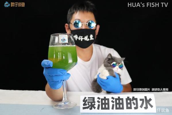 <strong><mark>什邡</mark></strong>市方亭蔣肖水族寵物店（<strong><mark>什邡</mark></strong>市方亭蔣肖水族寵物店電話）