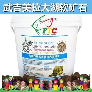 虎龍魚喂什么發(fā)色好（養(yǎng)龍魚應該喂什么）