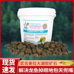 虎龍魚喂什么發(fā)色好（養(yǎng)龍魚應該喂什么）