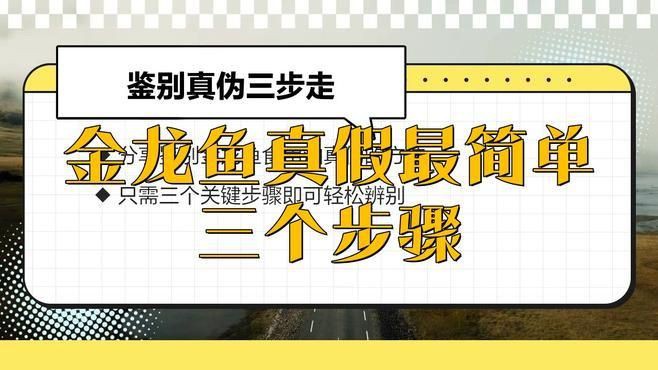 金龍魚(yú)查詢真?zhèn)稳肟? title=