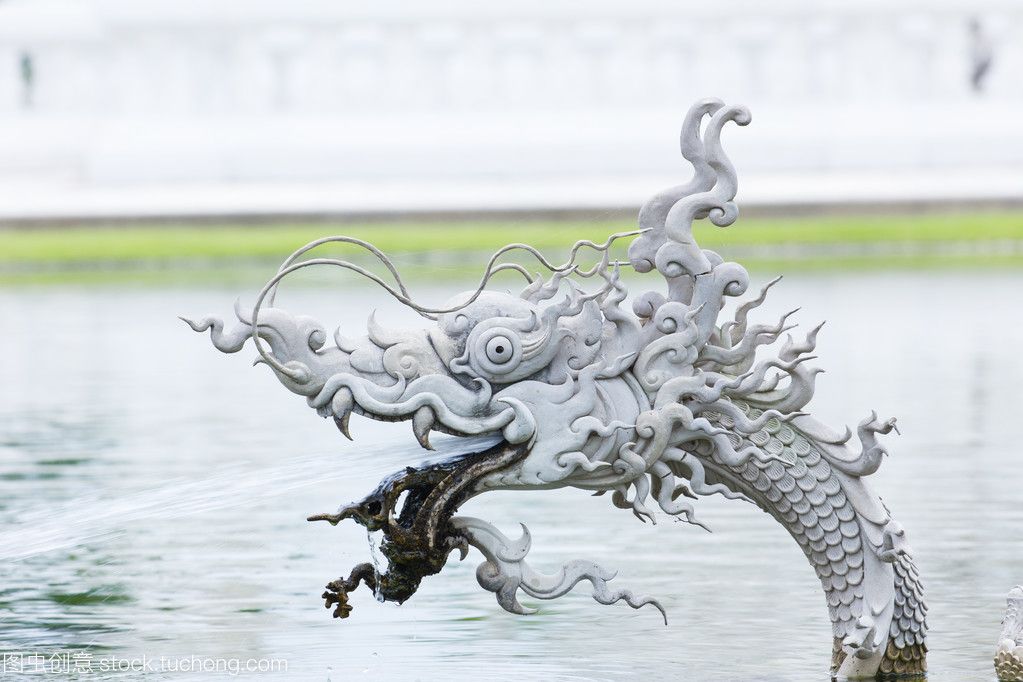 龍魚吃食反復吐出來會死嗎：龍魚吃食反復吐出來會死嗎，