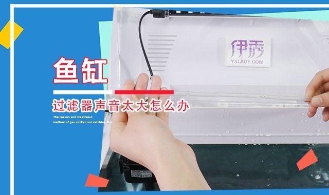 魚缸過濾水聲音太大怎么辦（如何自制魚缸靜音裝置）