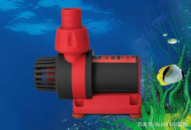 魚缸過濾水聲音太大怎么辦（如何自制魚缸靜音裝置）