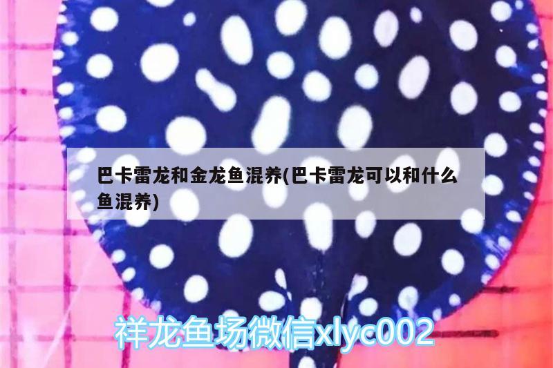 明水正大干洗店 明水正大干洗店 全國水族館企業名錄 第3張