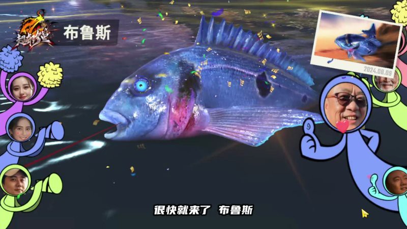 如何辨別野生和養殖黃龍海水魚？