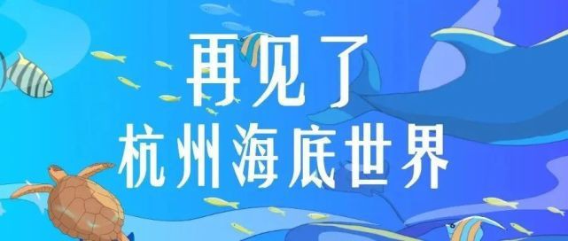 杭州龍魚搬遷到哪里了