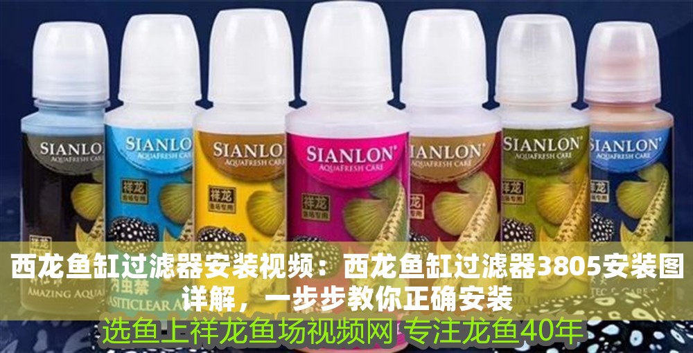 西龍魚缸過濾器安裝視頻：西龍魚缸過濾器3805安裝圖詳解，一步步教你正確安裝