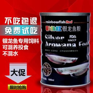 紅色銀龍魚多少錢一條（\"銀龍魚什么顏色最貴銀龍魚價格多少錢一只）