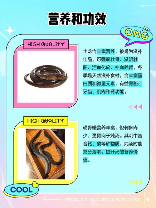 土龍魚的功效與作用圖片