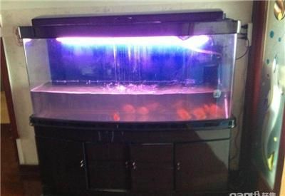 魚缸價格 種類，魚缸品牌推薦魚缸配件選購指南
