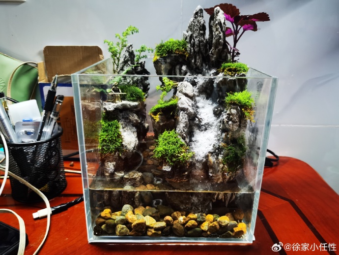 肅州區新振東水族花卉苑（肅州區新振東水族花卉苑地址）