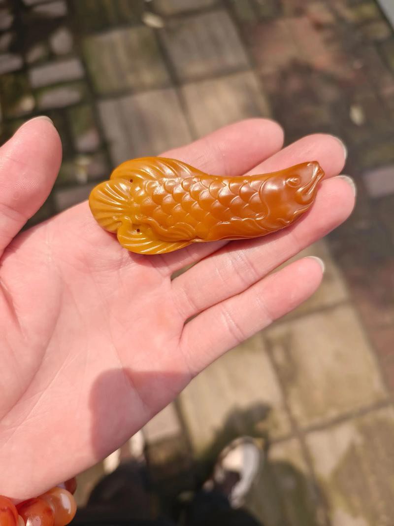 金龍魚和紅龍魚是一個品種嗎圖片視頻