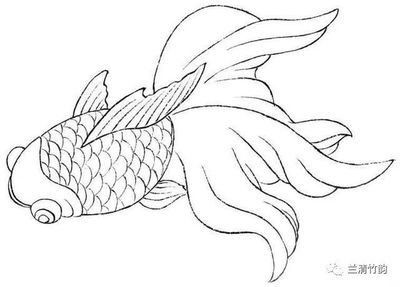 紅色龍魚畫適合掛在哪（家里掛什么畫招財？）