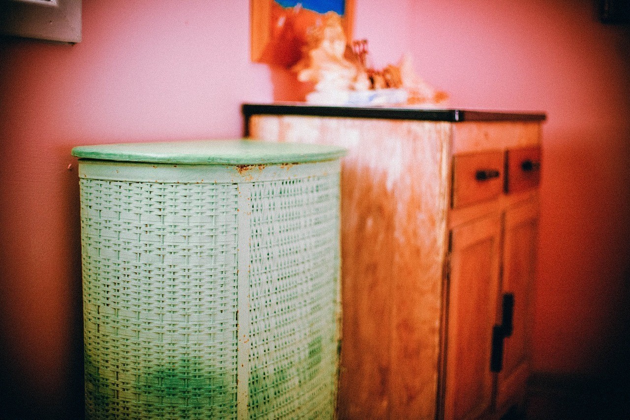 錦江區(qū)玥小姐的貓店 錦江區(qū)玥小姐的貓店 全國水族館企業(yè)名錄 第2張