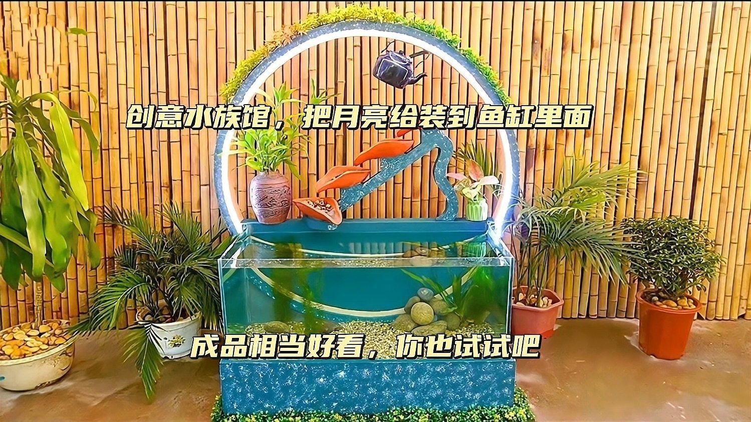 如何模擬月光輔助金龍魚作息？