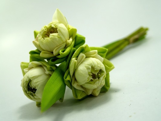 呼和浩特市<strong><mark>回民</mark></strong>區樊軍魚缸店