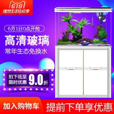 性價比高的龍魚缸推薦：性價比較高的龍魚缸推薦