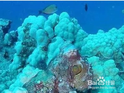 杭州金宴紅生物科技有限公司（杭州金宴紅生物科技有限公司官網(wǎng)）