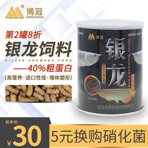 銀龍魚喂什么飼料最好