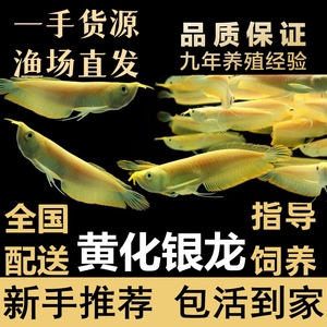 昌黎縣悠然水族館（昌黎縣悠然水族館電話）