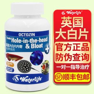 金龍魚白點病加食鹽能治好嗎：金龍魚白點病加食鹽可以治好嗎 金龍魚白點病加食鹽能治好嗎：金龍魚白點病加食鹽可以治好嗎 龍魚百科 第1張